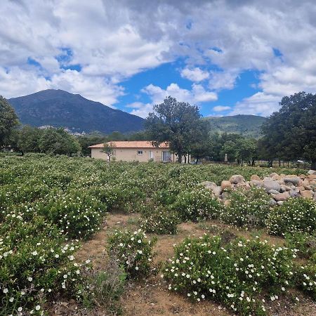 Вилла Domaine U Filanciu - Casa Ghjulia - Centru Di Corsica Moltifao Экстерьер фото